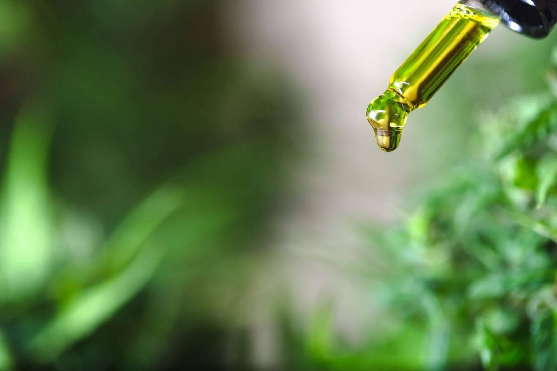 Premium Legal Hemp asegura la utilidad del aceite CBD para tratar molestias musculares