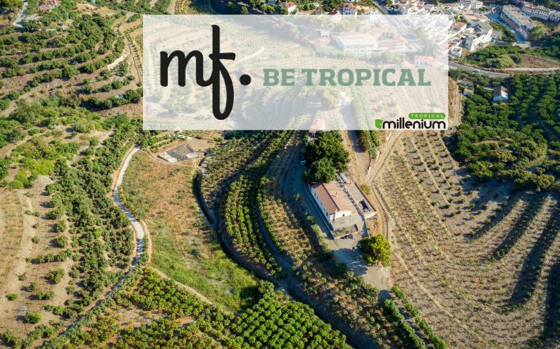 Foto de Be Tropical My Friend, la tienda online de Tropical Millenium