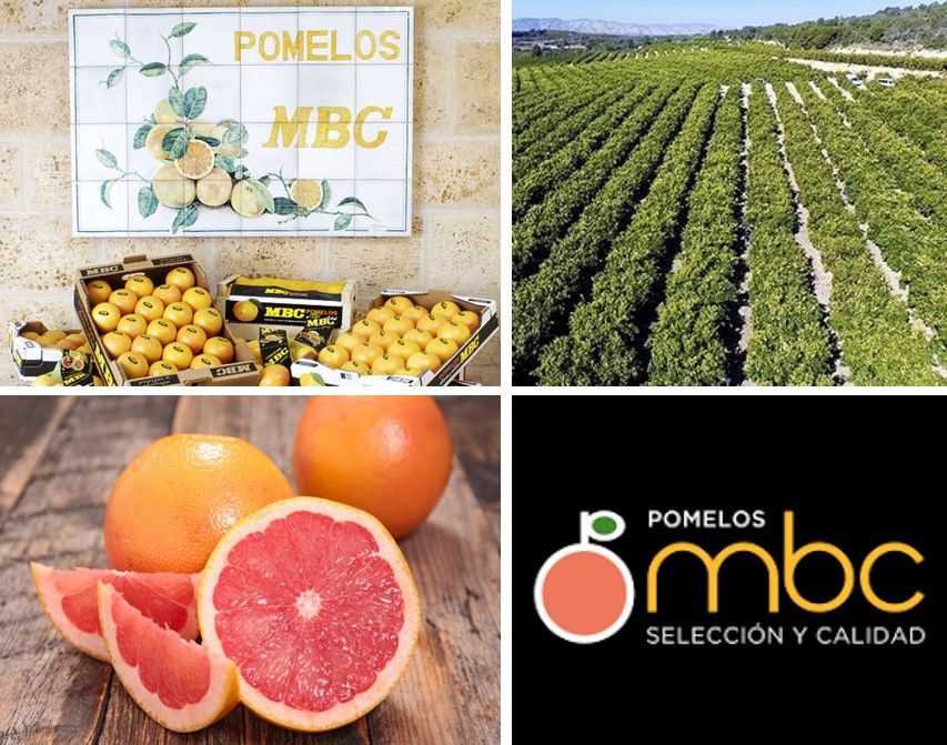 POMELOS MBC obté el certificat de qualitat empresarial CEDEC i reafirma la seva col·laboració amb la consultoria