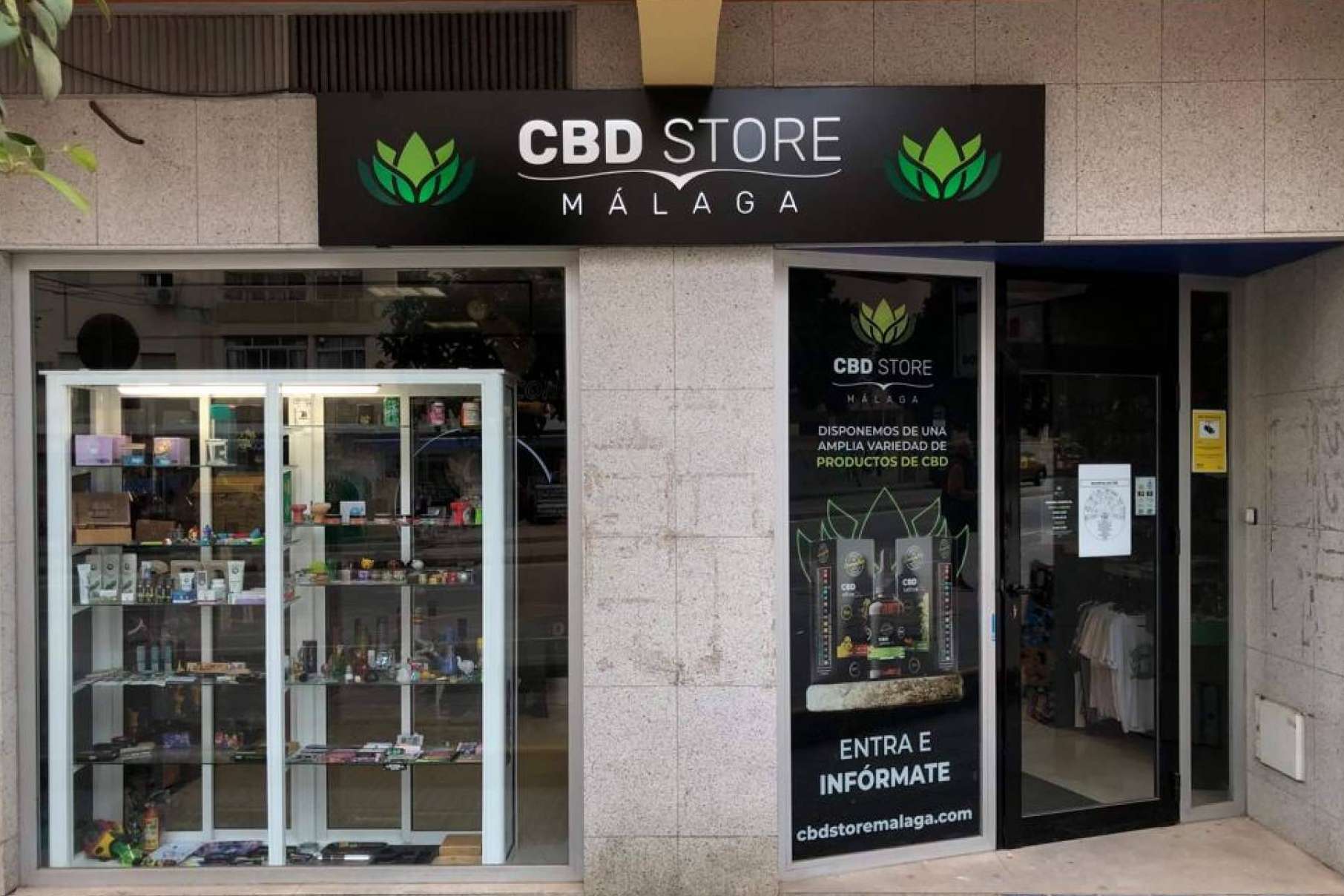 El aceite de CBD, según CBD Store Málaga, ayuda al tratamiento de algunas enfermedades
