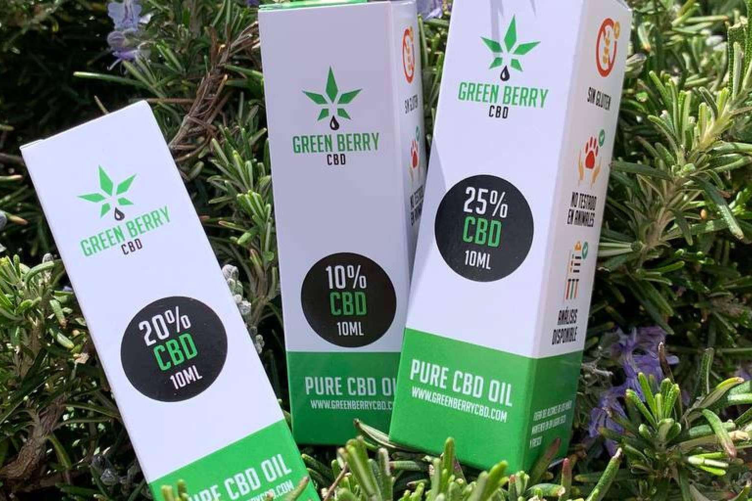 ¿Qué beneficios aporta el aceite de CBD?, por GreenBerry CBD