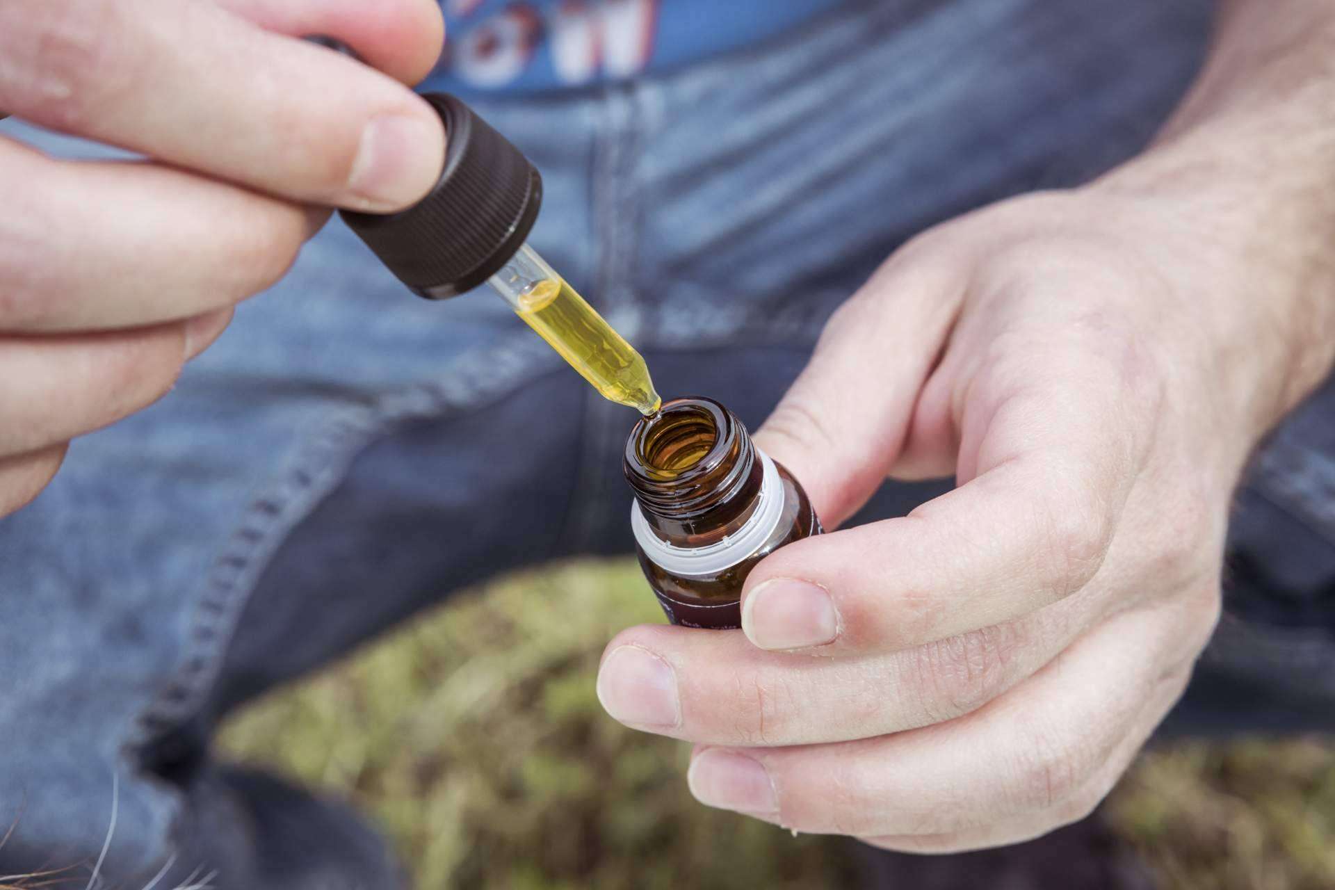 Cuáles son los beneficios CBD en mascotas, según Enecta