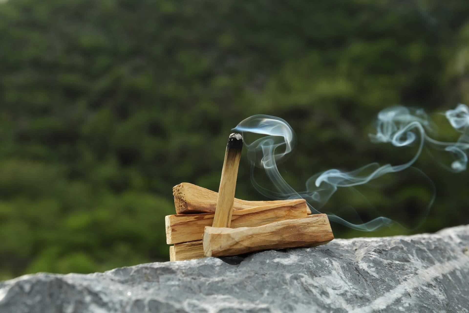 La tienda esotérica Bindi dispone de palo santo original para la purificación de energías y espacios