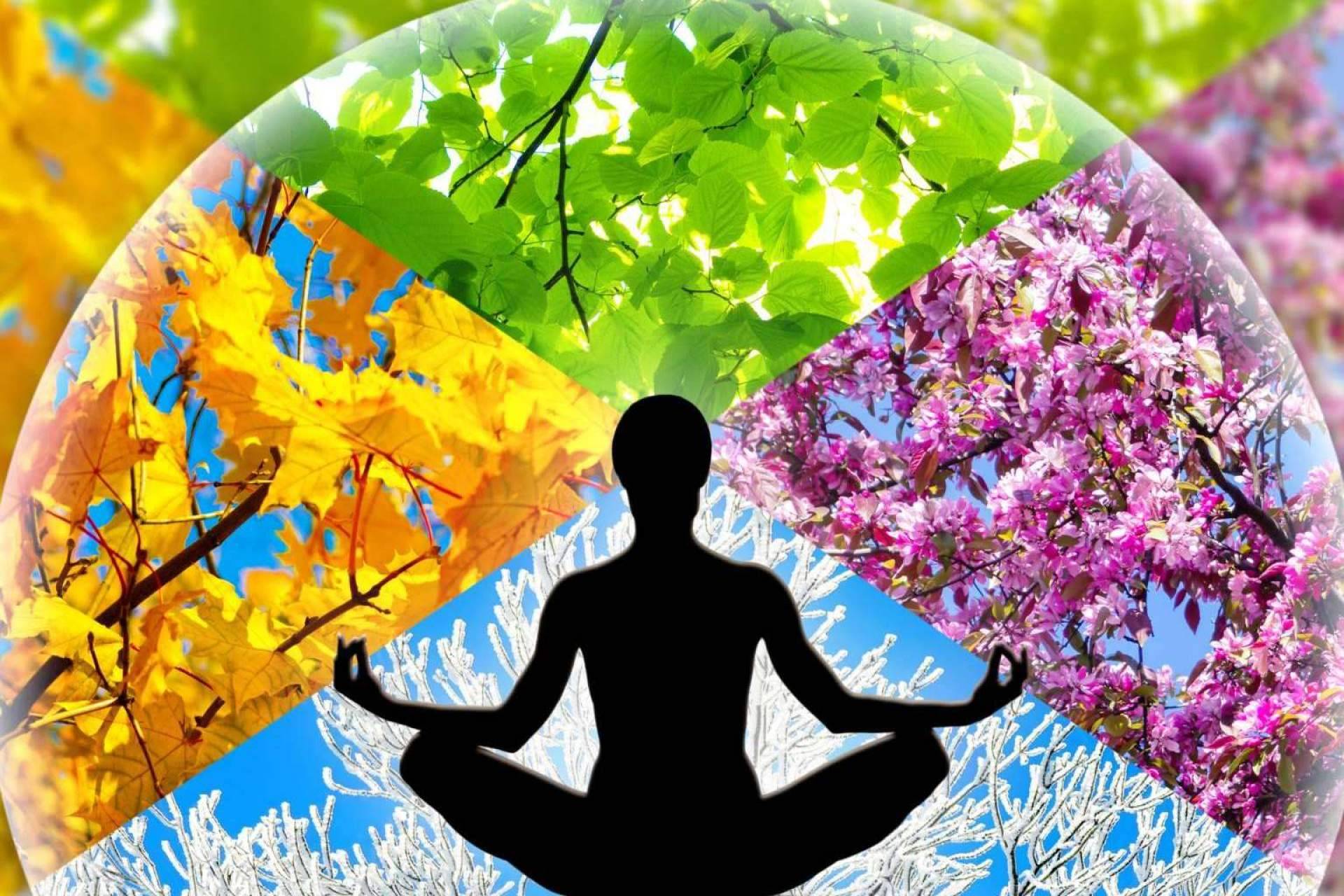 eeMindful ofrece diferentes terapias de meditación guiada con mindfulness