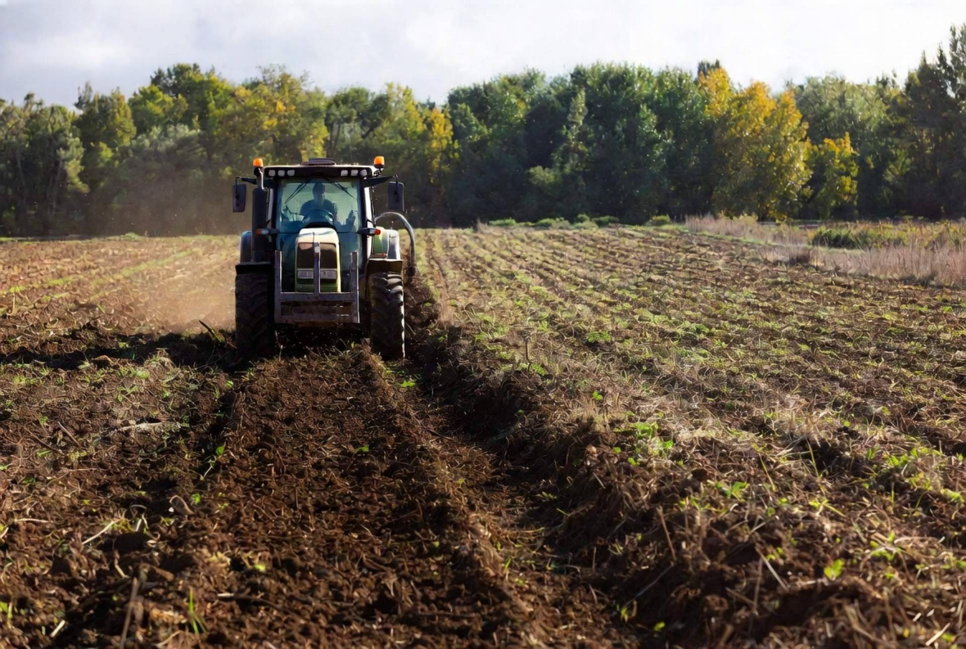¡La primavera del cáñamo! Arranca la temporada de cultivo industrial en Europa